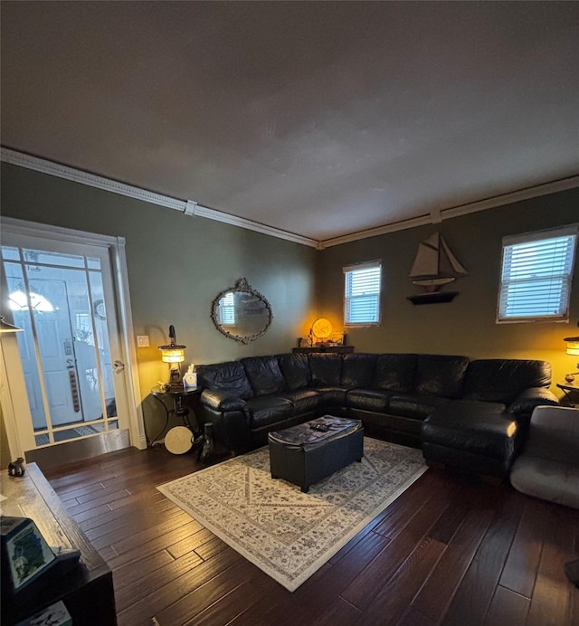 living room featuring dark wood-type flooring and crown molding