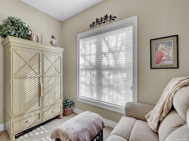 living area with carpet flooring