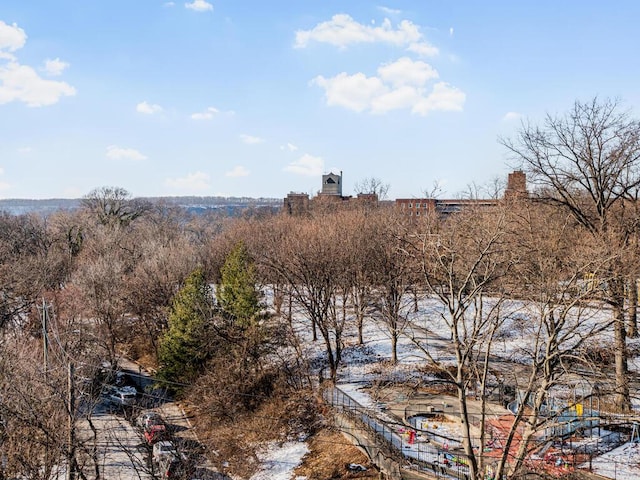 view of local wilderness