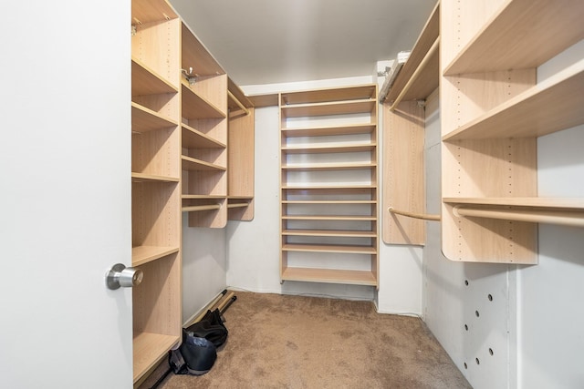 walk in closet featuring light carpet