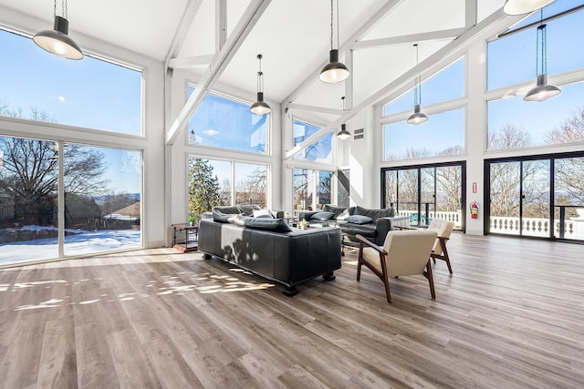 living room featuring hardwood / wood-style flooring and a healthy amount of sunlight