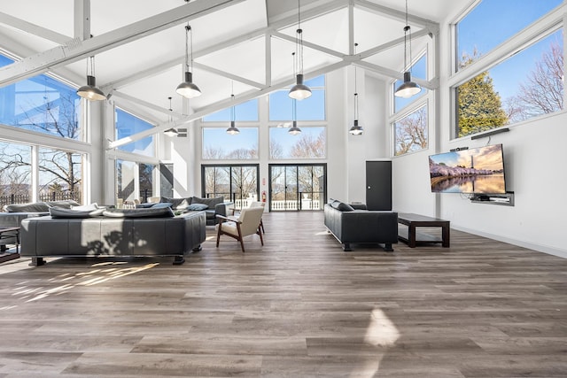 living room featuring wood-type flooring and beam ceiling