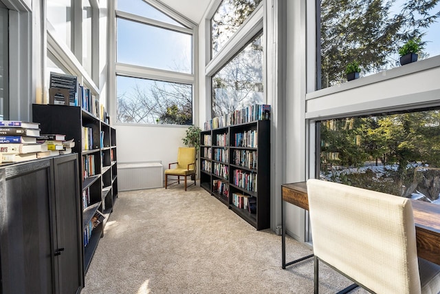 interior space with light colored carpet