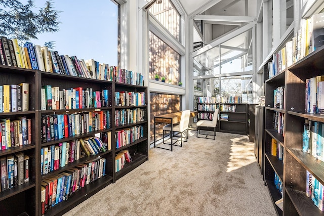 interior space with a towering ceiling and carpet