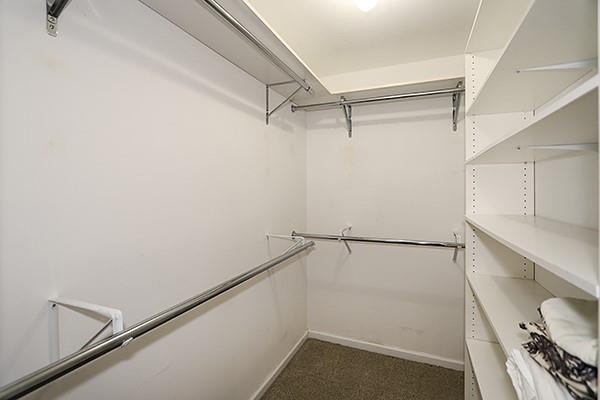 spacious closet featuring dark carpet