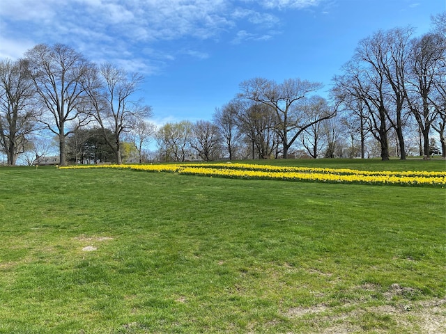 view of yard with a rural view