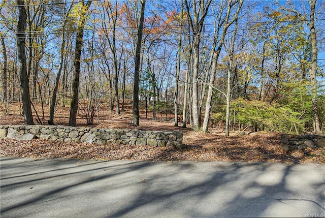 Listing photo 2 for 31 Sarles St, Armonk NY 10504