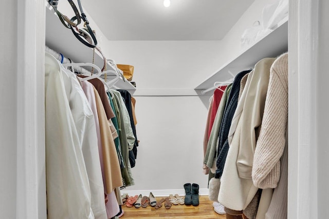 spacious closet with hardwood / wood-style flooring