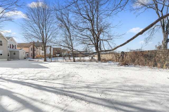 view of yard layered in snow