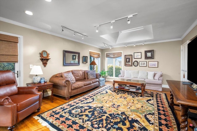 living room featuring ornamental molding and light hardwood / wood-style flooring