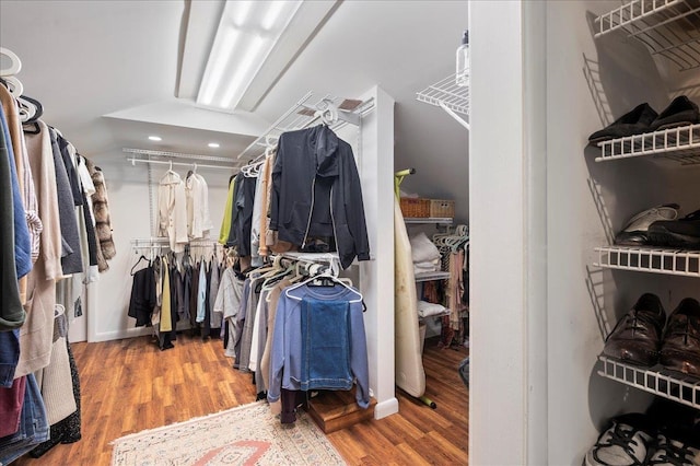 walk in closet featuring hardwood / wood-style flooring