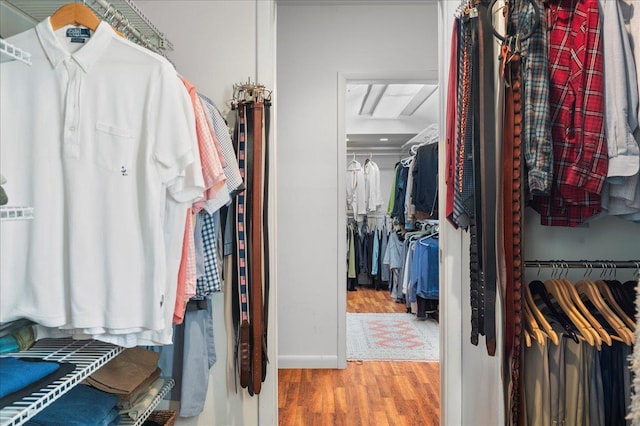 spacious closet with hardwood / wood-style flooring