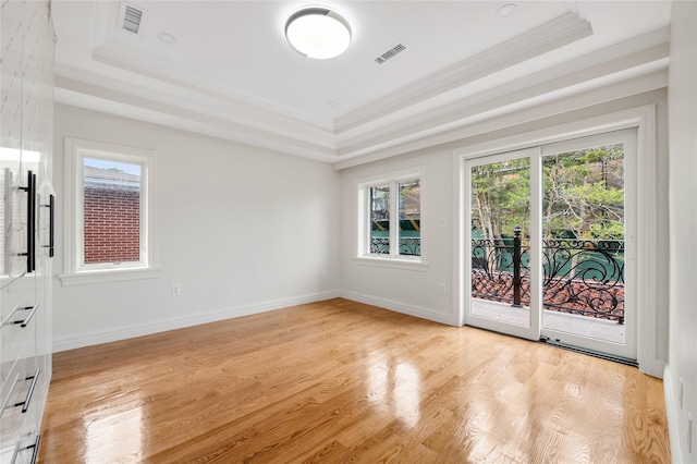 spare room featuring a raised ceiling and light hardwood / wood-style floors