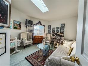 sitting room with carpet floors and a skylight