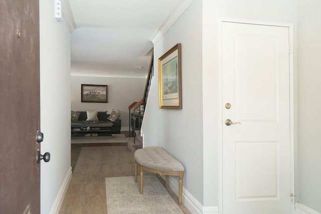 corridor featuring hardwood / wood-style flooring and crown molding