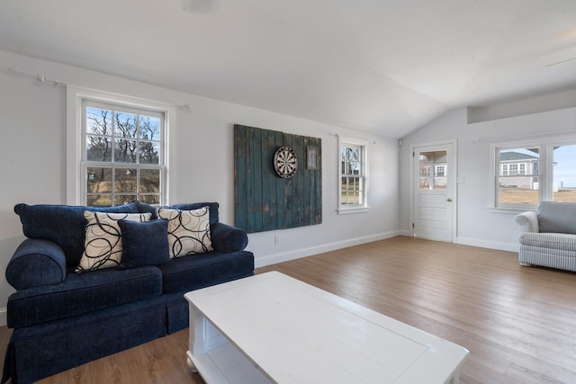 living room with hardwood / wood-style flooring and lofted ceiling