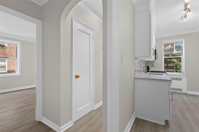 kitchen featuring white cabinetry, radiator heating unit, sink, and backsplash