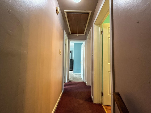 corridor with carpet floors