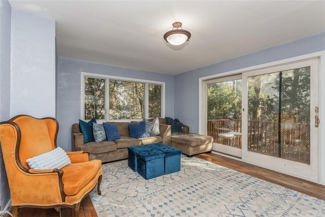 living room with a wealth of natural light and light wood-type flooring