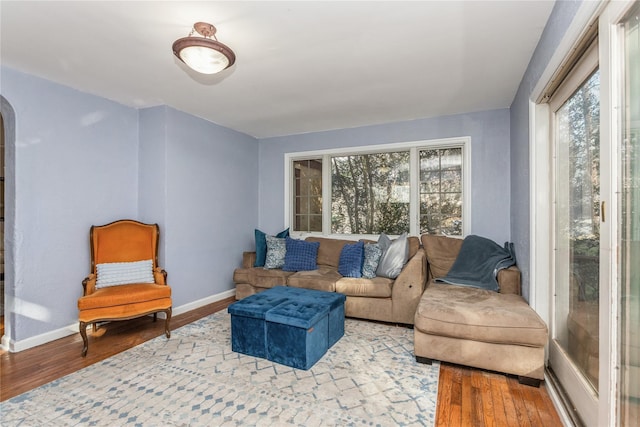 living room with wood-type flooring