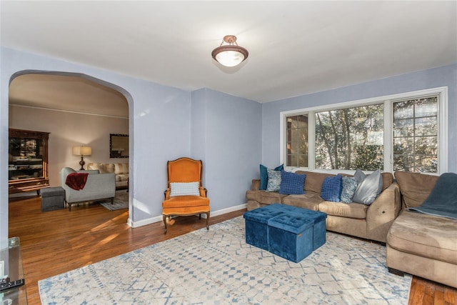 living room featuring wood-type flooring