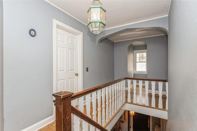 hall featuring hardwood / wood-style flooring and ornamental molding