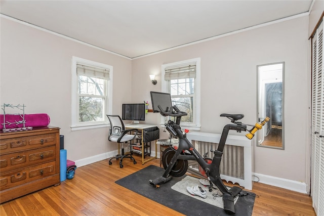 workout area featuring wood-type flooring, ornamental molding, and plenty of natural light