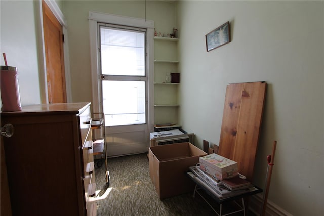 interior space with dark colored carpet