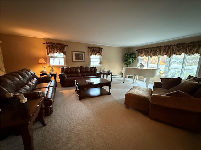 living room with carpet