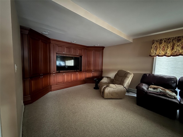 home theater with a baseboard heating unit and carpet flooring