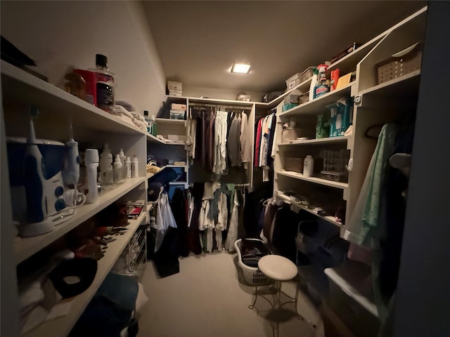 view of walk in closet