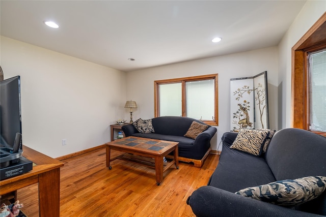 living room with light wood-type flooring