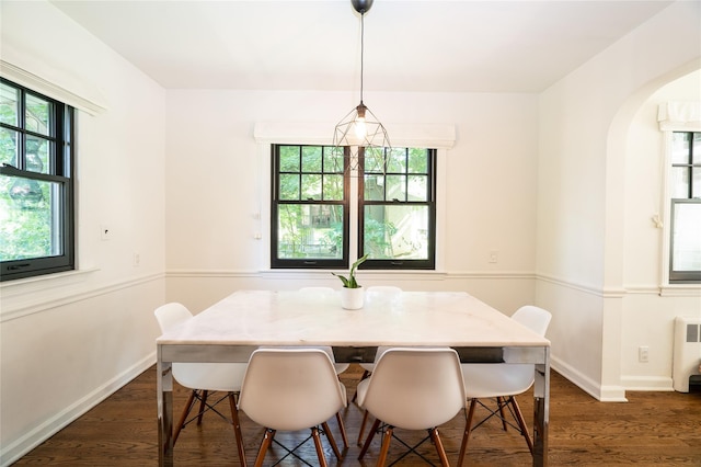 dining area featuring dark wood-type flooring, a healthy amount of sunlight, and radiator