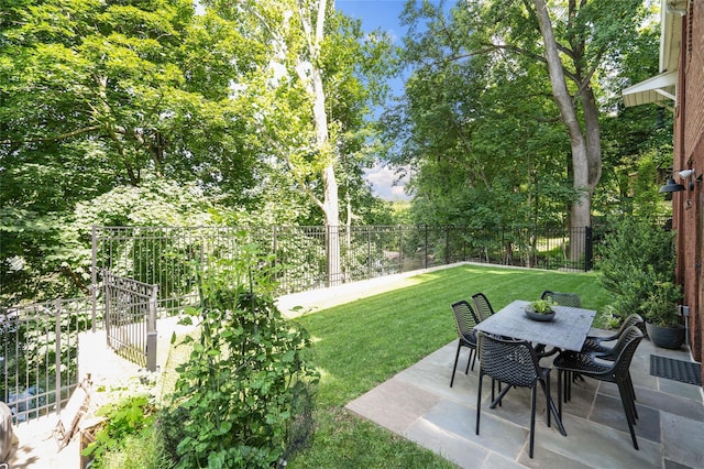 view of yard featuring a patio