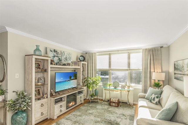 living room featuring ornamental molding and light wood-type flooring