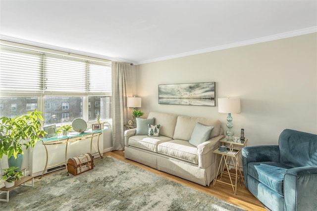 living room featuring hardwood / wood-style floors and ornamental molding