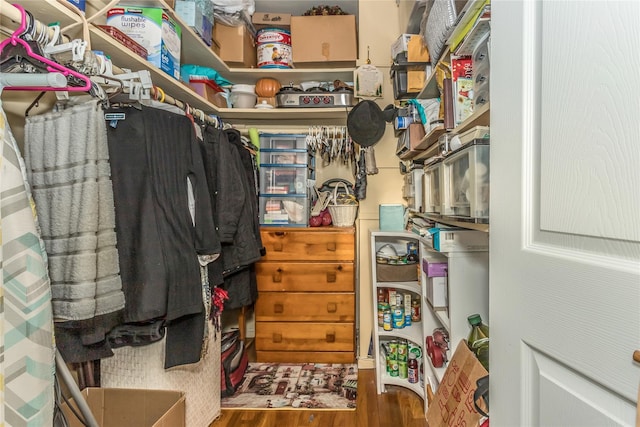 walk in closet with wood-type flooring