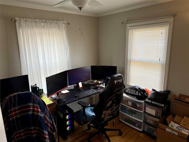 office area featuring ceiling fan, ornamental molding, and hardwood / wood-style floors