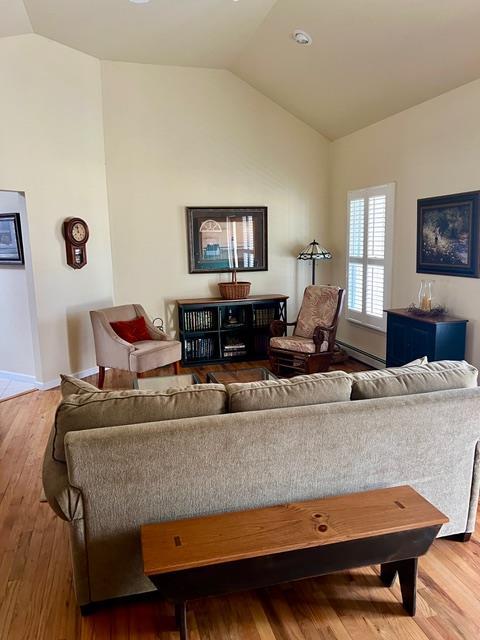 living room with lofted ceiling and wood-type flooring