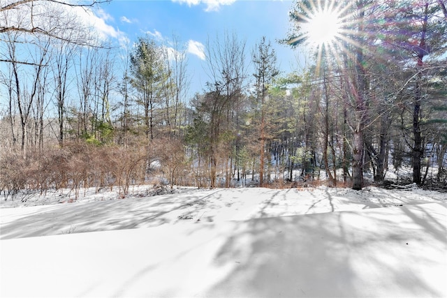 view of snowy yard