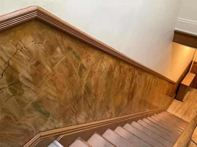 stairway with hardwood / wood-style floors