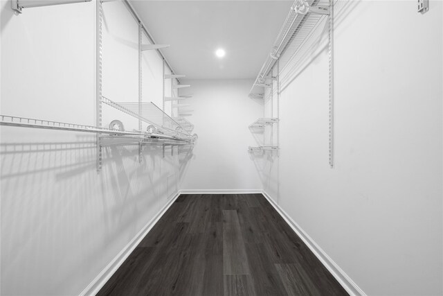 33 Potter Ln, Huntington, NY 11743 - walk in closet with dark wood-style flooring