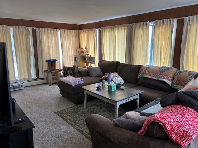 carpeted living room with a wealth of natural light