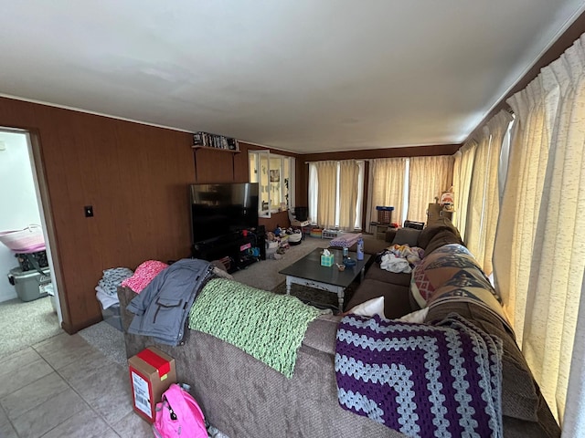 living room with wooden walls