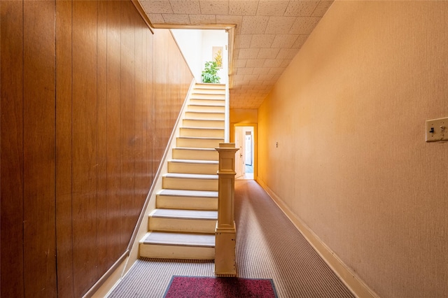 staircase with carpet floors