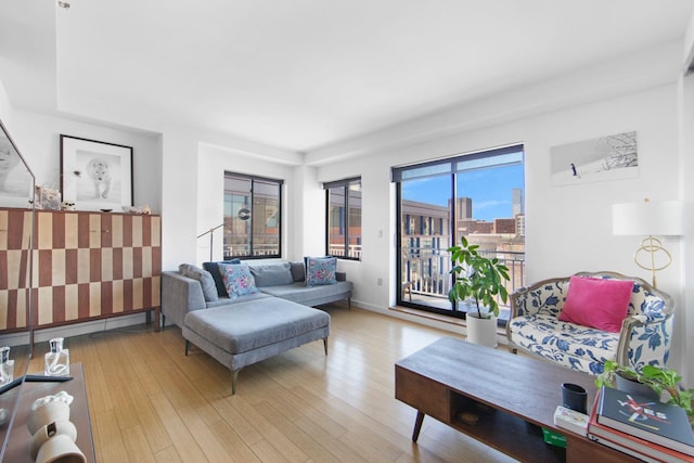 living room with light hardwood / wood-style flooring