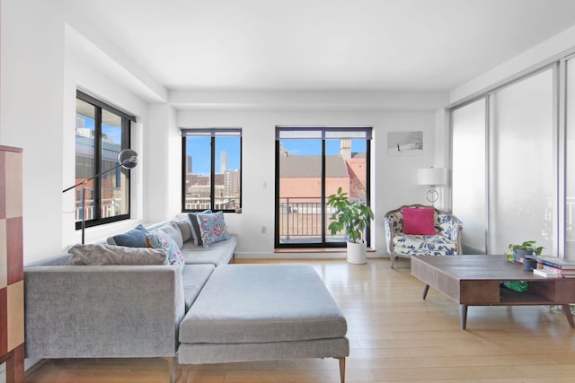 living room with light wood-type flooring