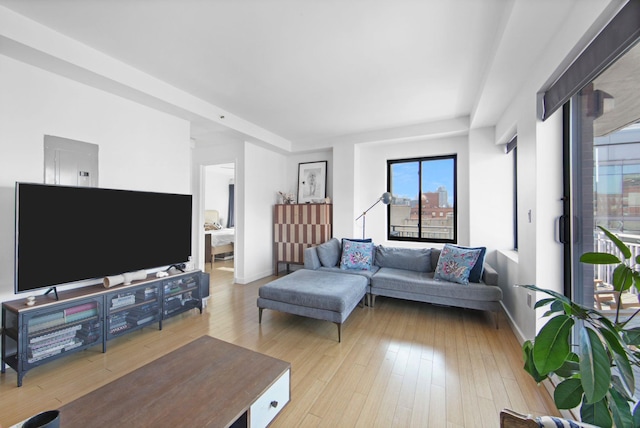 living room with light hardwood / wood-style flooring