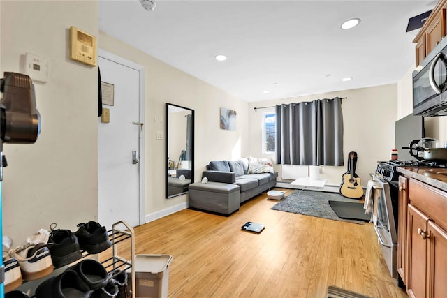 living room featuring light hardwood / wood-style flooring