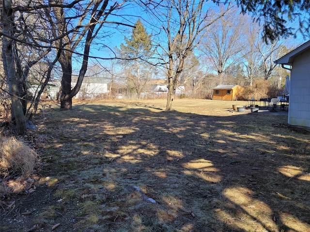 view of yard with a storage unit